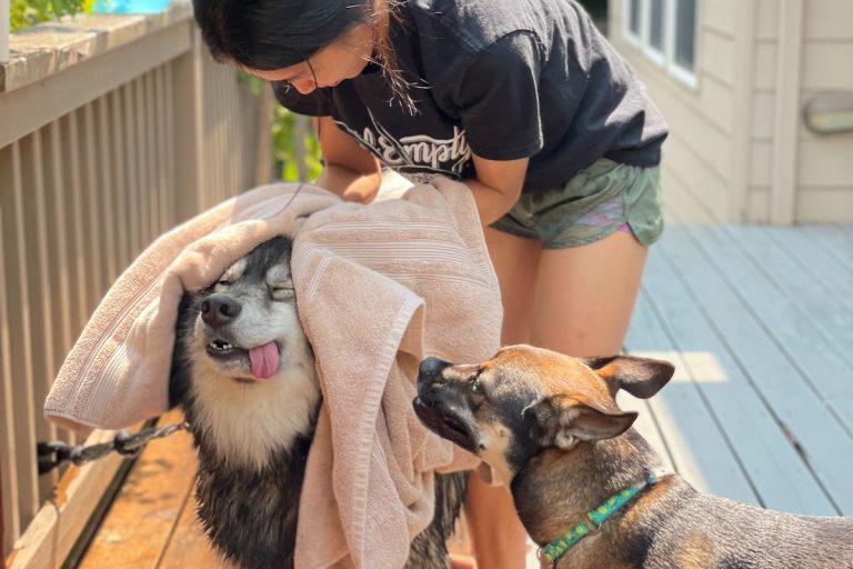 Pets Are Inn - Pre-screened Private Homes for Pet Care in Plano, Texas