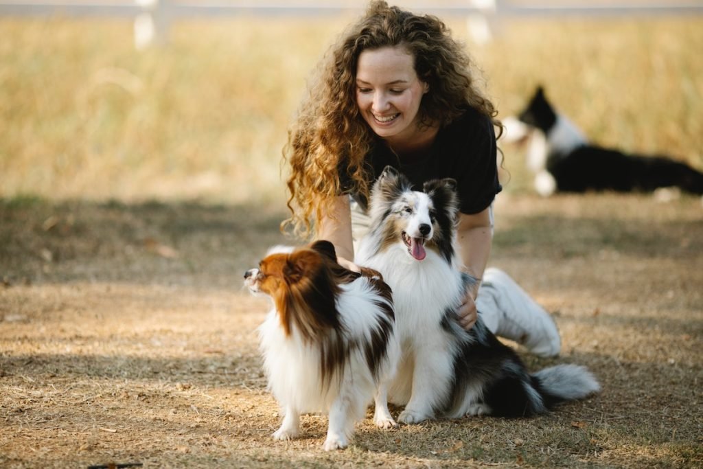 Doggy Daycare and Socialization in Garland, Texas with Pets Are Inn for canine companionship